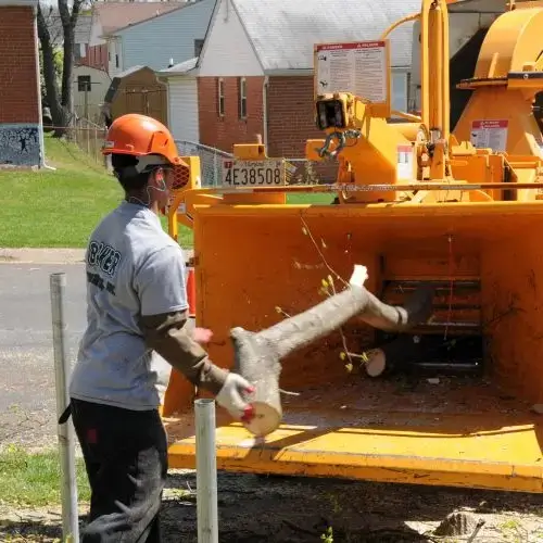 Professional tree care services by certified arborists in Western Maryland | Baker Tree Services